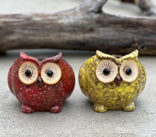 Load image into Gallery viewer, Set Of 2 pcs Cute Small Owl Succulent / Cactus Planter Flower mini pot